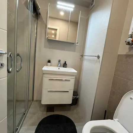 Apartment Lea Borik *